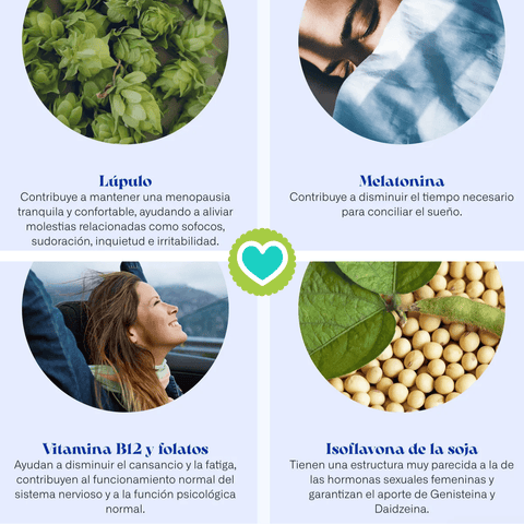 Image of Flavia Nocta 30 o 90 cápsulas Complemento Alimenticio Menopausia