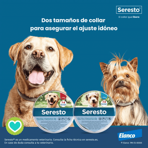 Image of Seresto Collar Perros más de 8 kilos