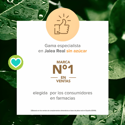 Image of Arkopharma ArkoReal Vitadefensas Vit. B y C SIN AZÚCAR Pack 4 x 20 Ampollas