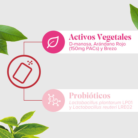 Image of Arkopharma Cis-Control Stop 15 sobres