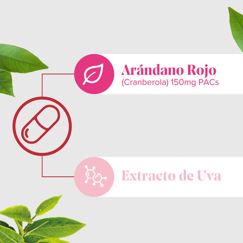 Image of Cranberola Cis-control 60 Cápsulas