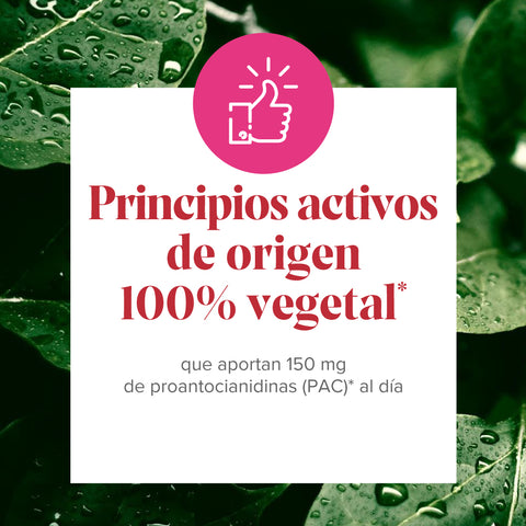 Image of Cranberola Cis-control 60 Cápsulas