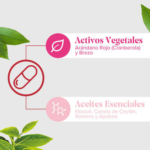 Image of Arkopharma Cranberola Flash 20 Cápsulas