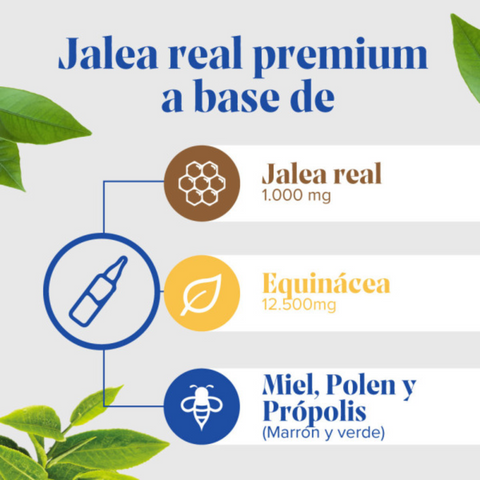 Image of Arkopharma ArkoReal Jalea Real Inmunidad Sin Azúcar 20 Ampollas