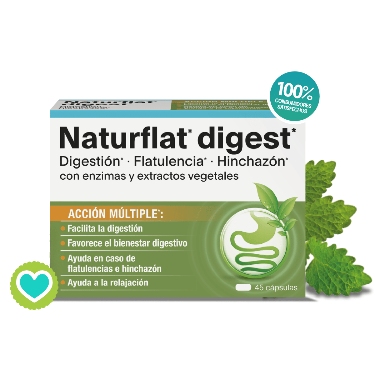 Naturflat Digest 45 cápsulas – Complemento alimenticio para la digestión y el bienestar intestinal
