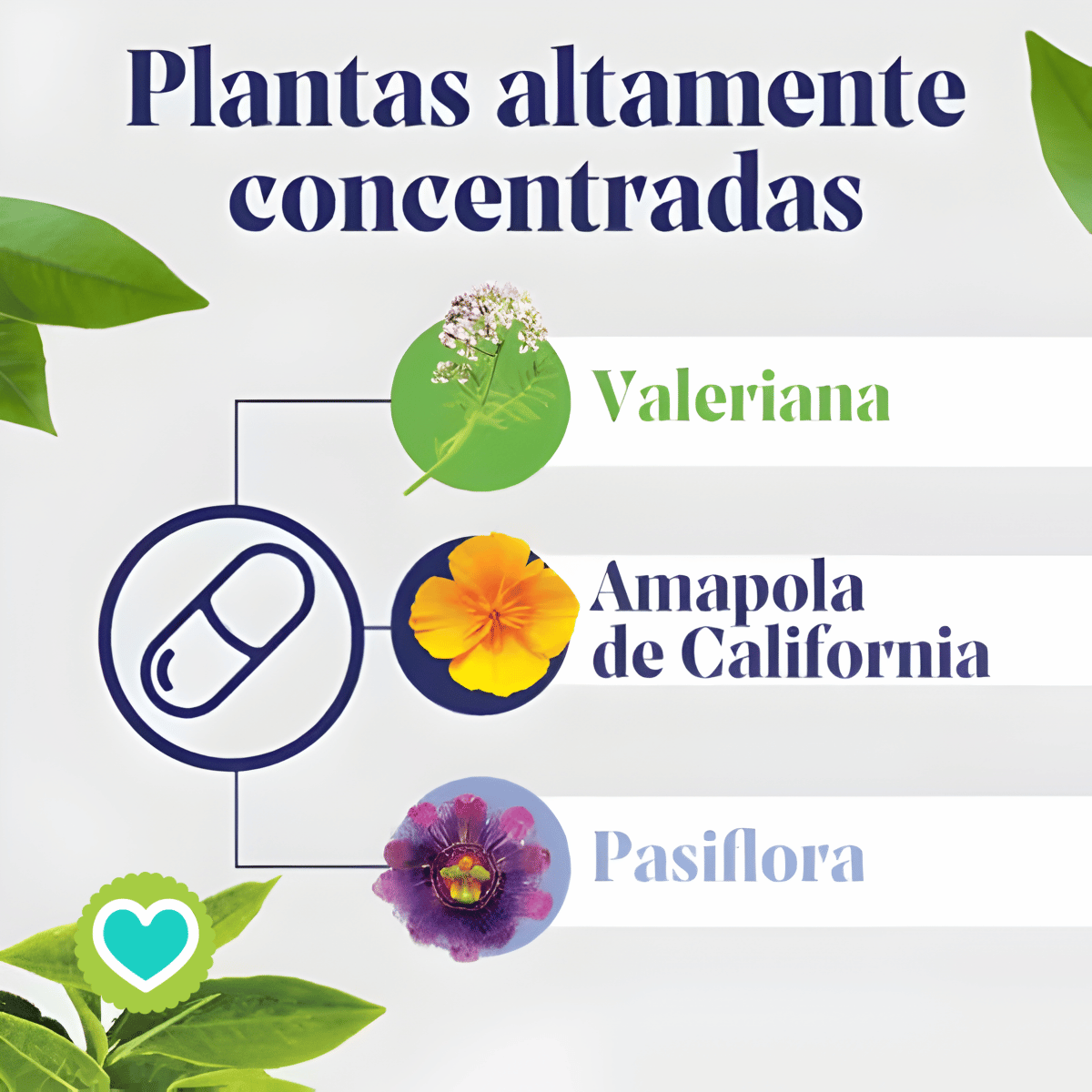 ARKOSUEÑO FORTE 8H  30 comp. Bicapa x 2