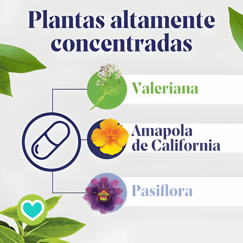 Image of ARKOSUEÑO FORTE 8H  30 comp. Bicapa x 2