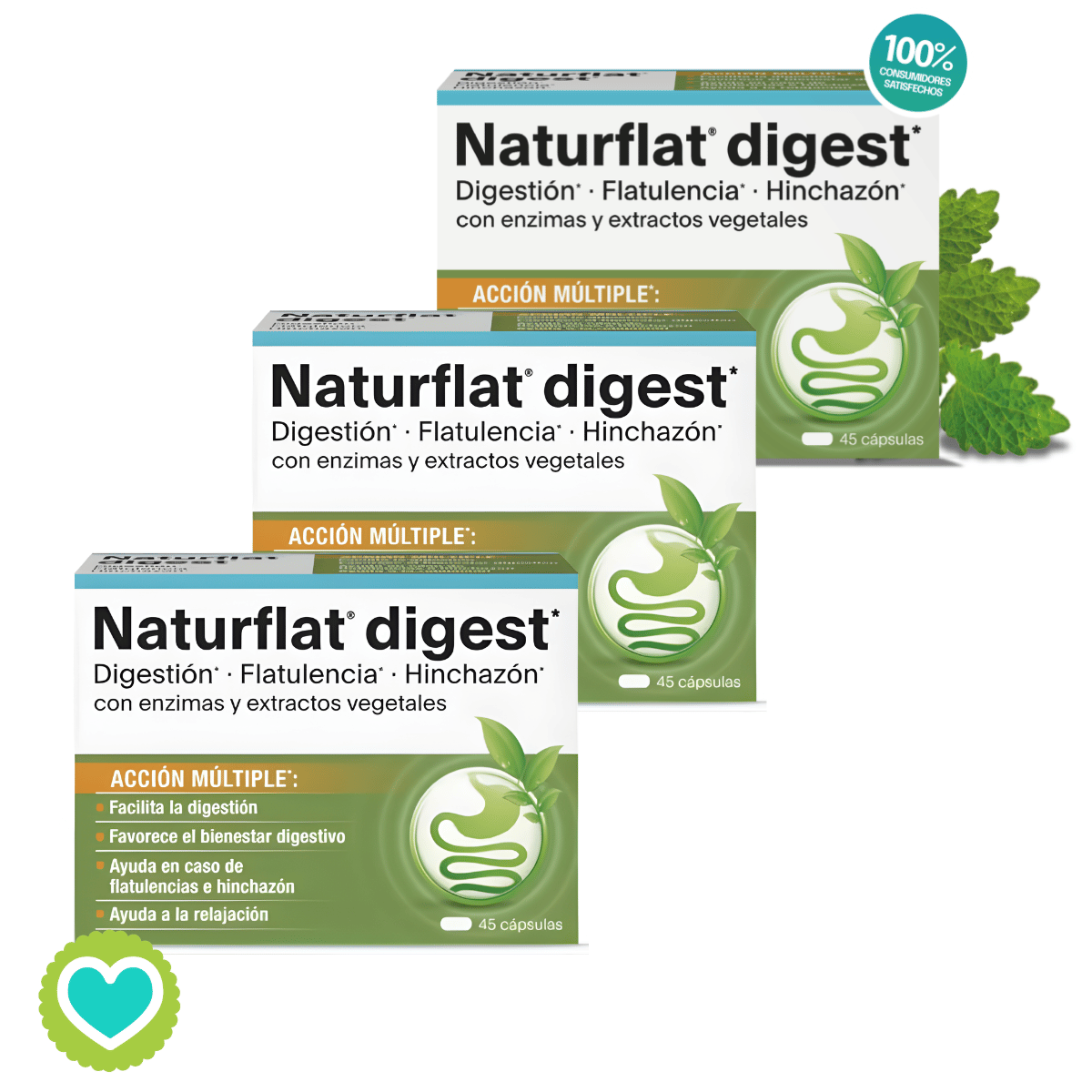 Naturflat Digest 45 cápsulas – Complemento alimenticio para la digestión y el bienestar intestinal