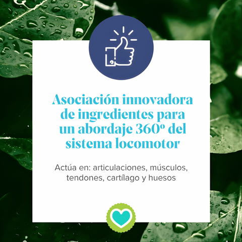 Image of Arkopharma Arkoflex Colágeno Total Sabor Naranja 390g