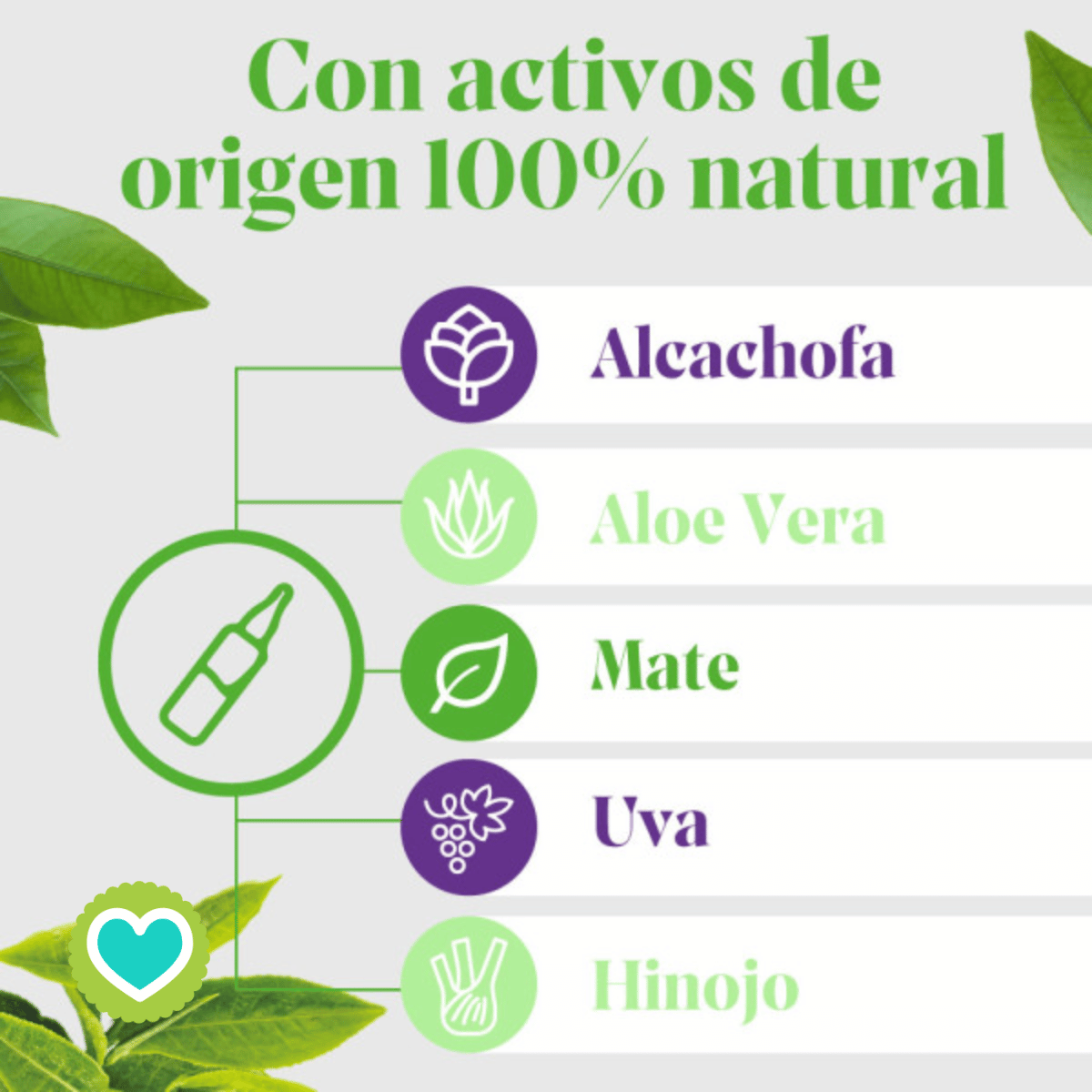 Arkofluido Alcachofa Forte + Aloe Vera 20 ampollas