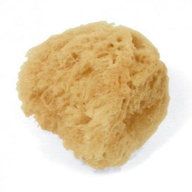 Aposan Esponja Natural Infantil