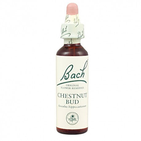 Bach 07 Chestnut Bud 20ml