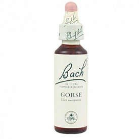 Bach 13 Gorse 20ml