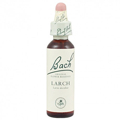Bach 19 Larch 20ml
